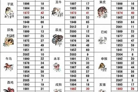 1995年屬|1995年属什么生肖 1995年属什么的生肖